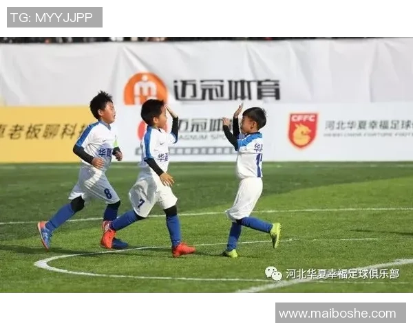 赛后分析：北京足球队与西安足球队的团队协作表现及其影响因素探讨